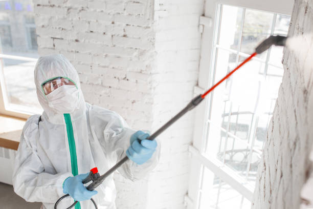 Best Residential Mold Inspection & Testing  in Melissa, TX